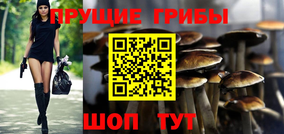 Галлюциногенные грибы Psilocybine cubensis  Вход с VPN  даркнет сайт  Омск 